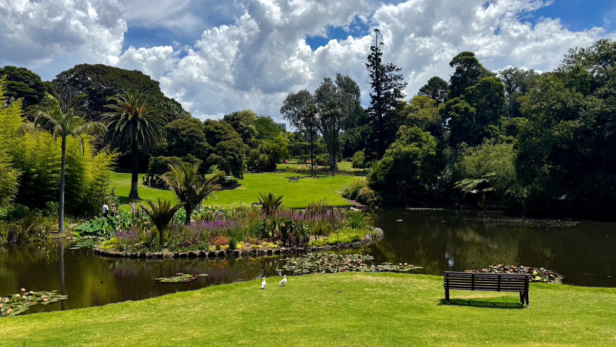 burada dursun arada bakar bakar mutlu olurum🍀🤗