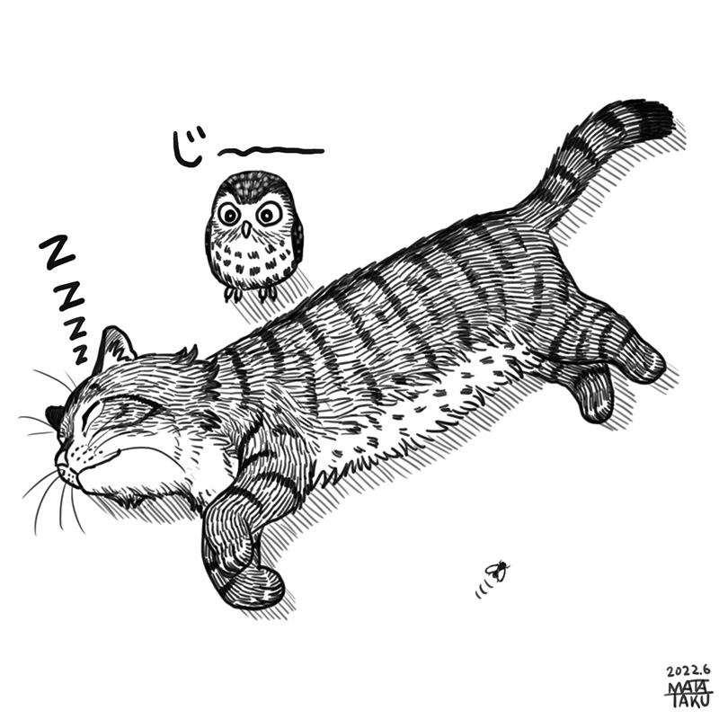 猫フク かいかいかい をpixivに投稿しました😄🐱🦉

猫のこういう反応面白い😆

https://t.co/xDPEZ01VjT 