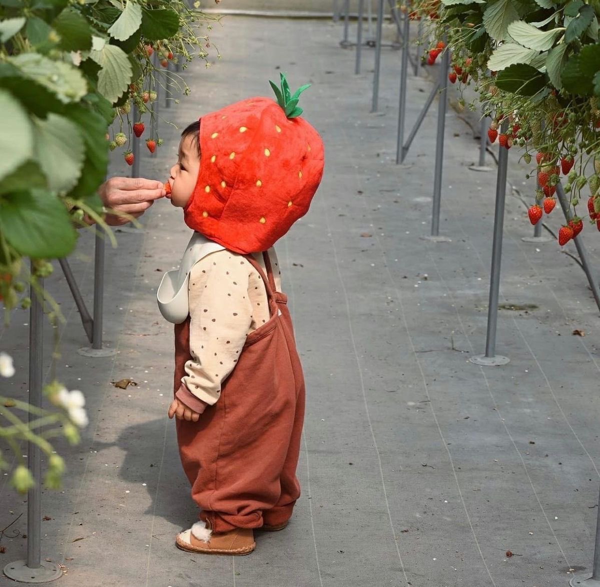 Jude 📌📌 tweet media