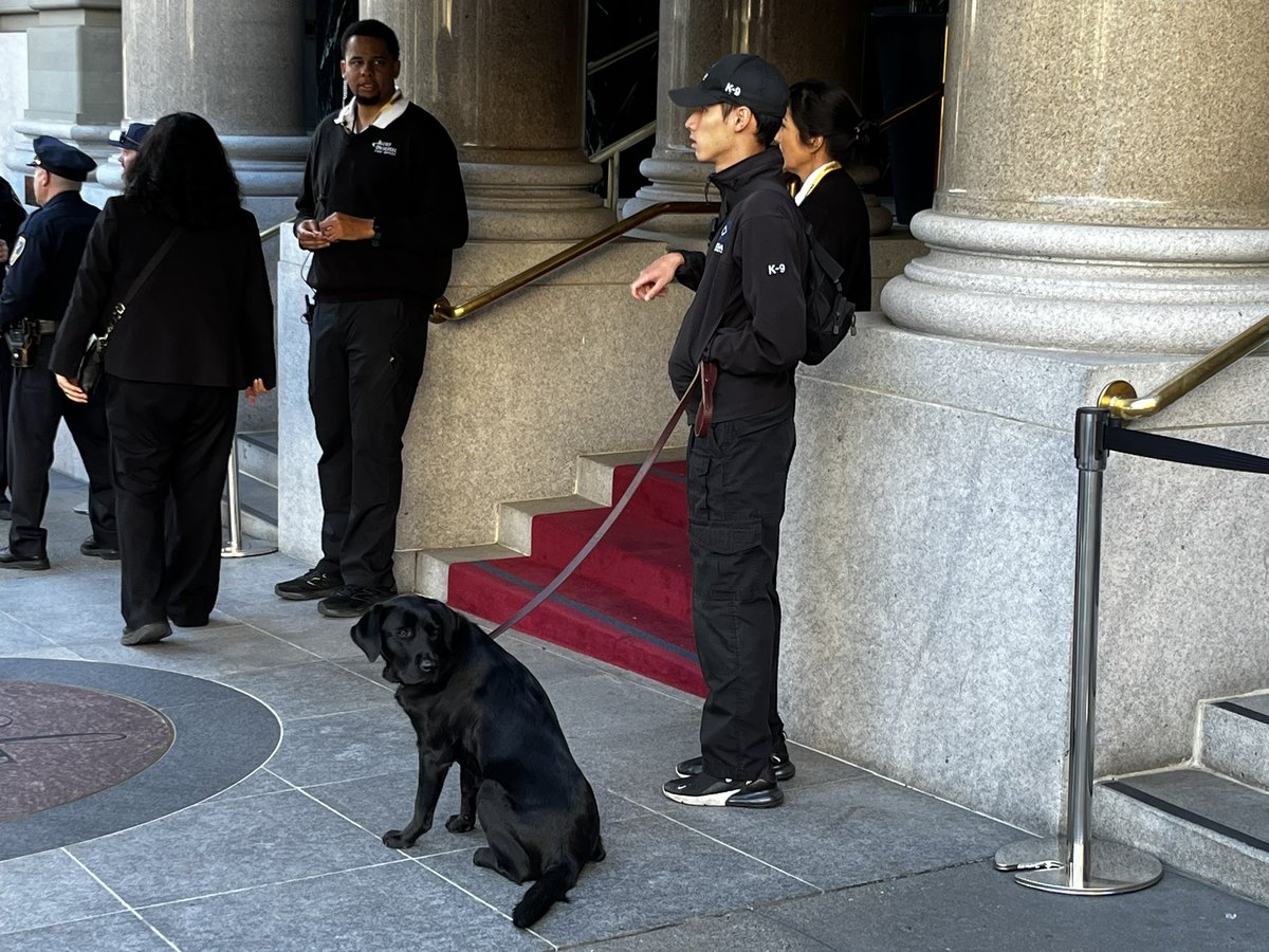 Adam Feuerstein ✡️ tweet media