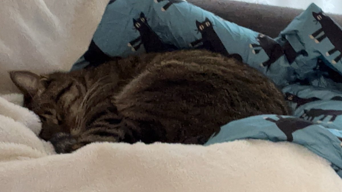 おかえりなさい。ゆっくり休んでくださいね。