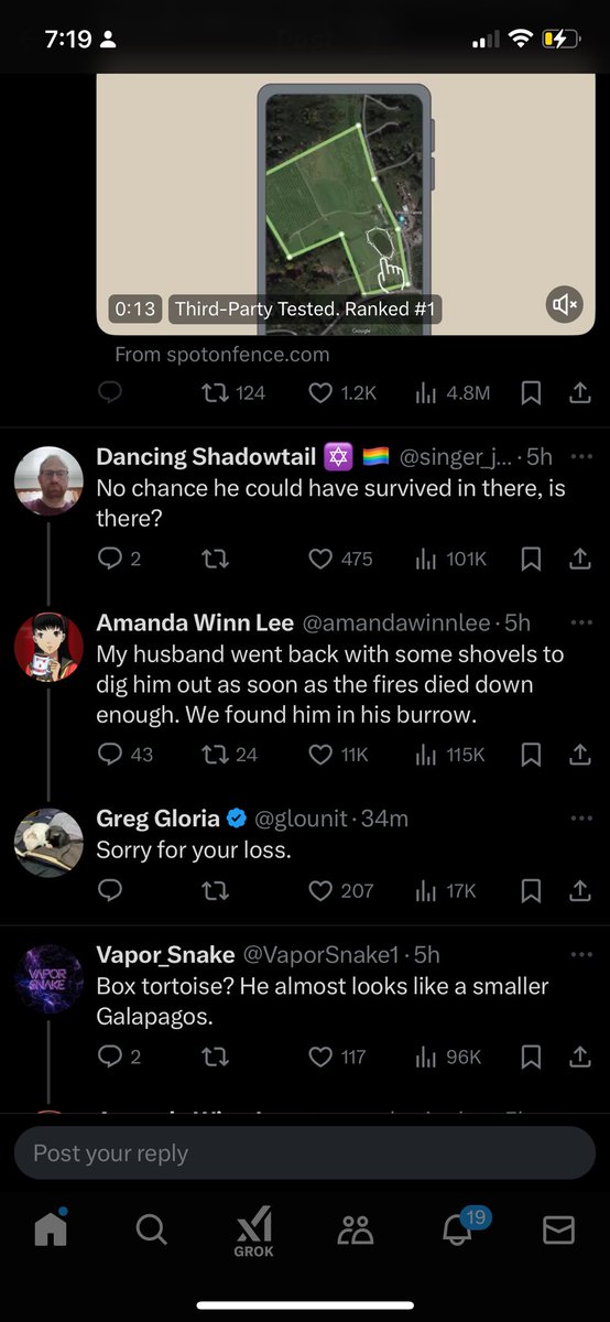 Chelsea tweet media
