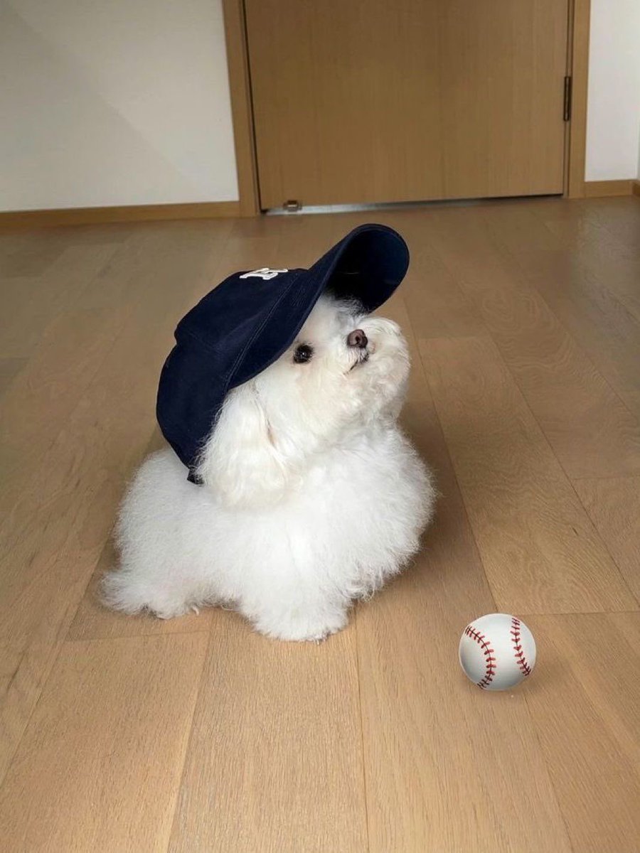 twaniimals's tweet photo. https://t.co/FW3nprgjng