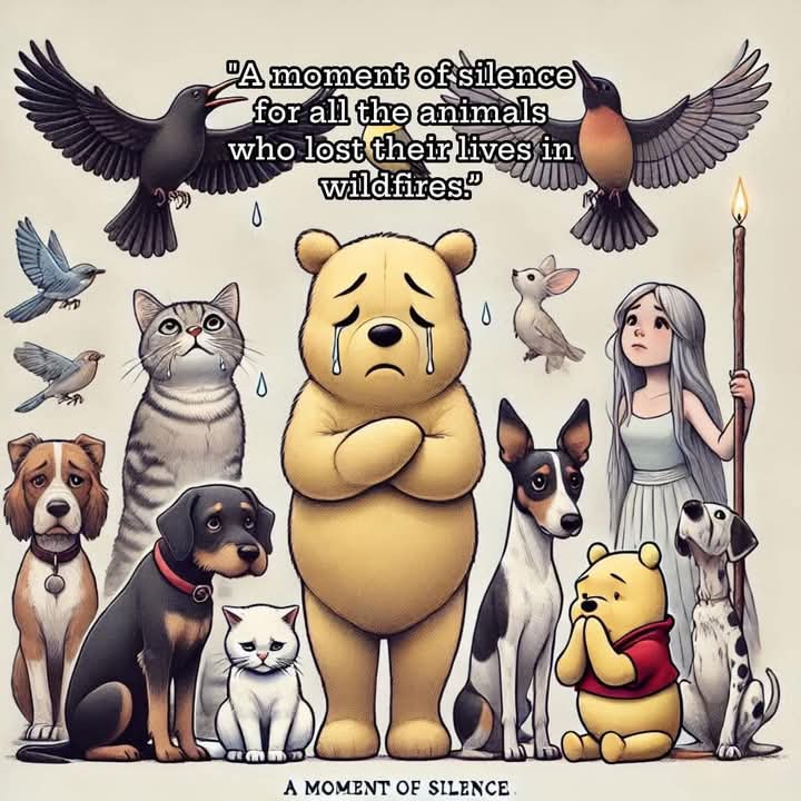 Un minuto de silencio por todos los animales que han perdido su vida en los incendios forestales. 🙏