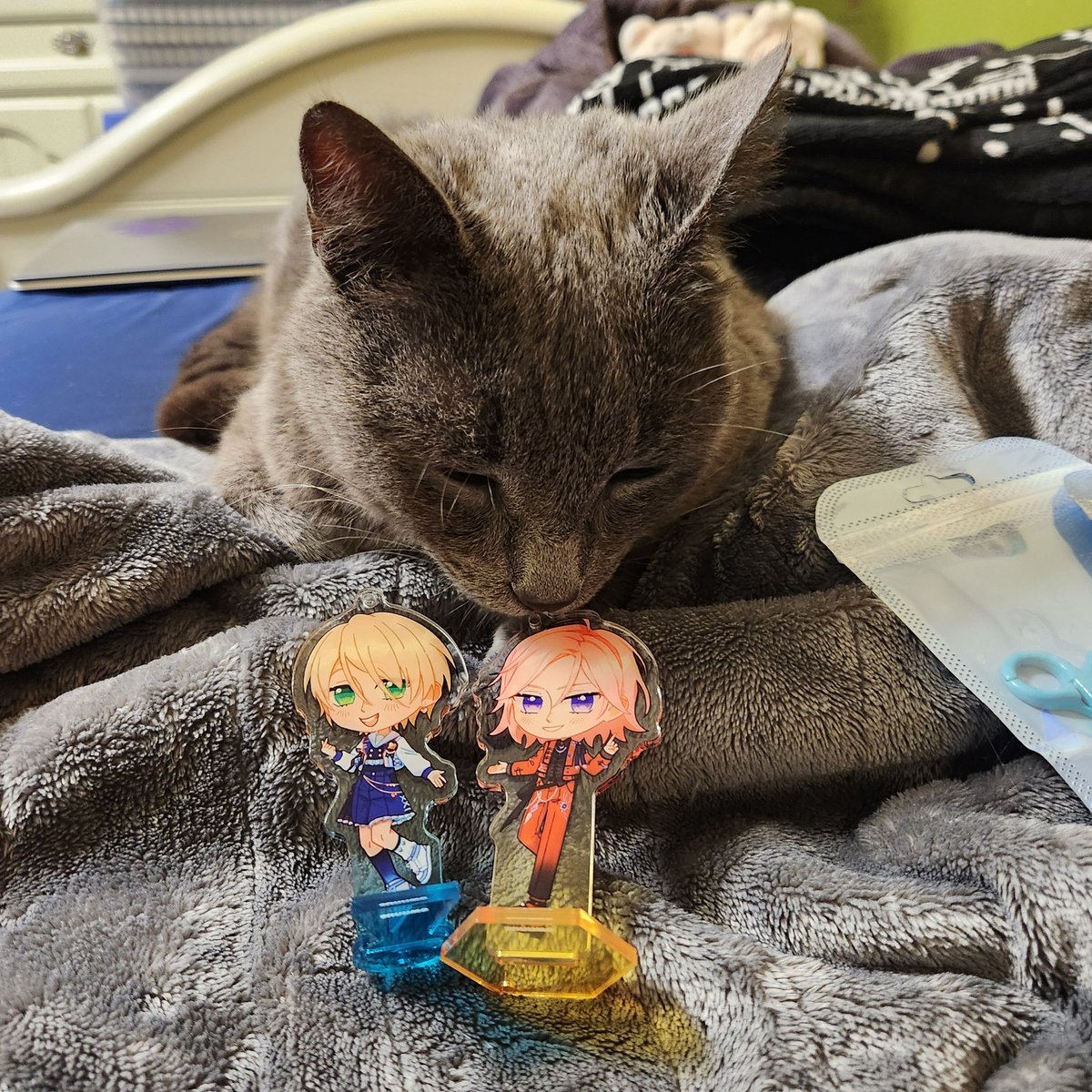 she's inspecting my merch

(adorable charms from <a href="/its_sunnwo/">sunn 🌻</a>!)
