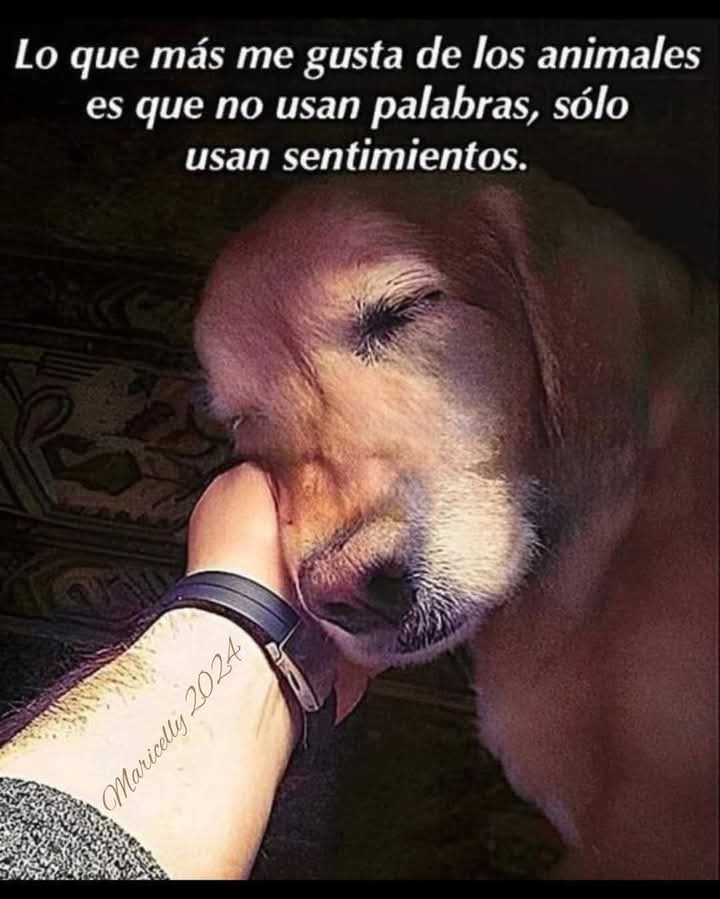 GRamirezF_D12's tweet photo. Buenas noches ✨💖 https://t.co/1mAmYgc8TI