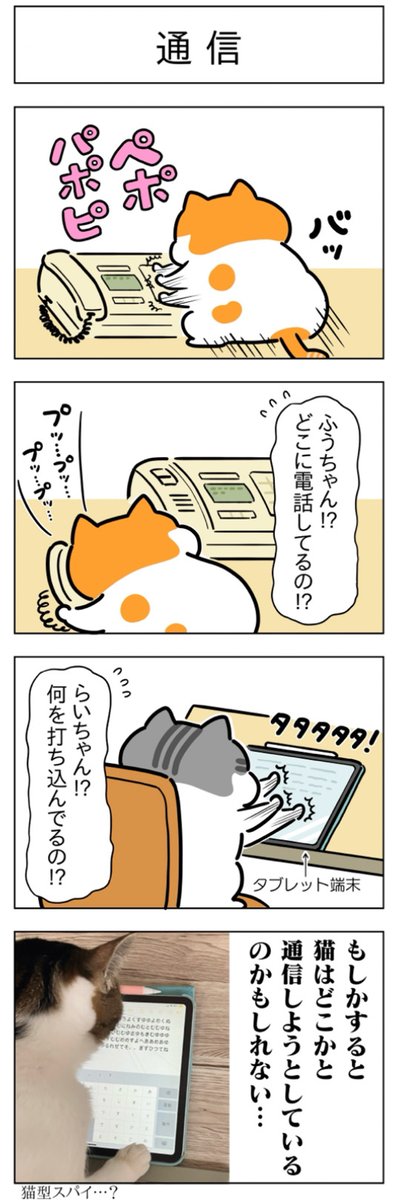 通信・見える│フェリシモ猫部 https://t.co/lWxRTYzUbP 