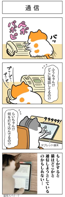 通信・見える│フェリシモ猫部 https://t.co/lWxRTYzUbP 