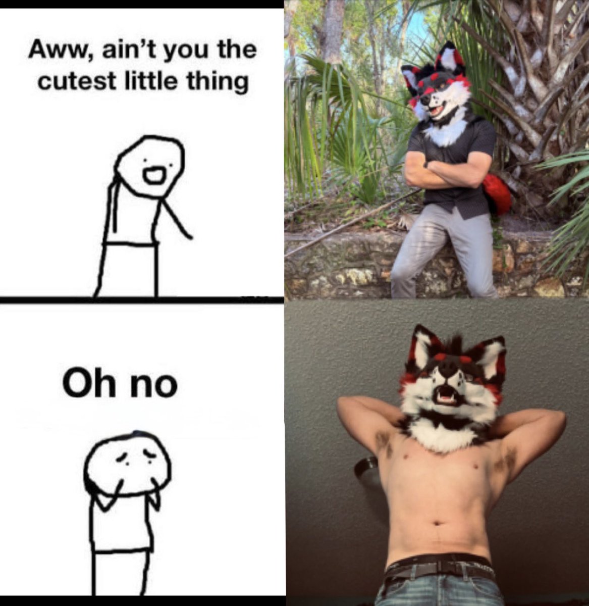 Been seeing this trend, had to do it 💀
#furry #Furrybara #furries #furrycommunity