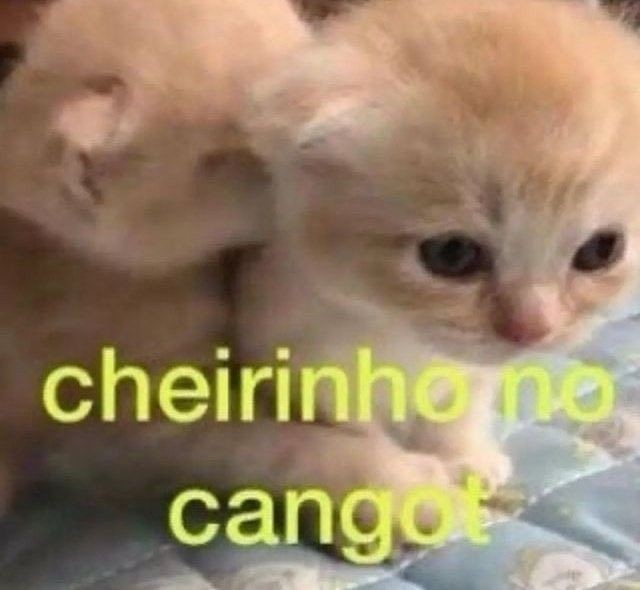 Memes para marcar ele(a) (@memeparaoarroba) on Twitter photo 