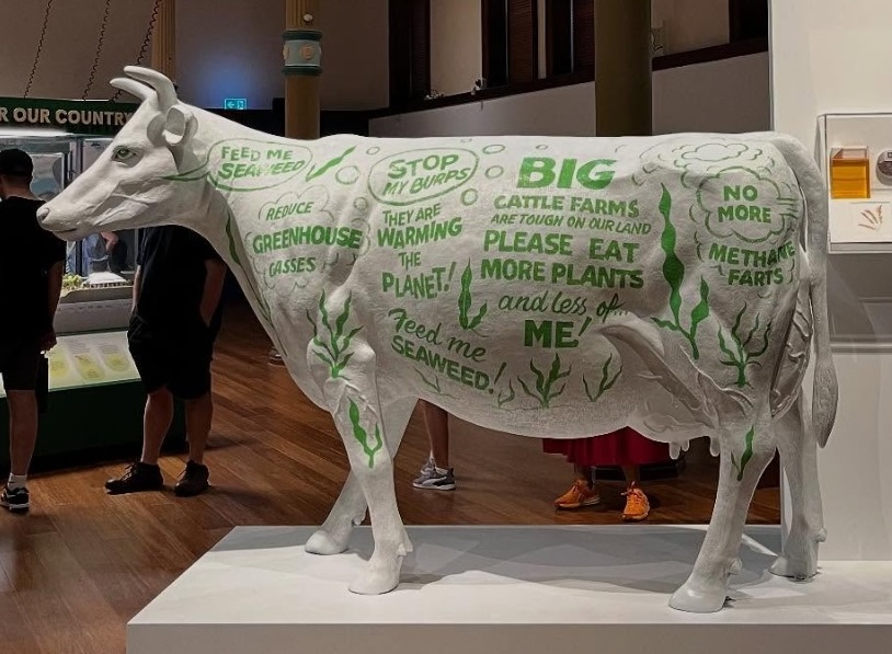 Senator Matt Canavan tweet media