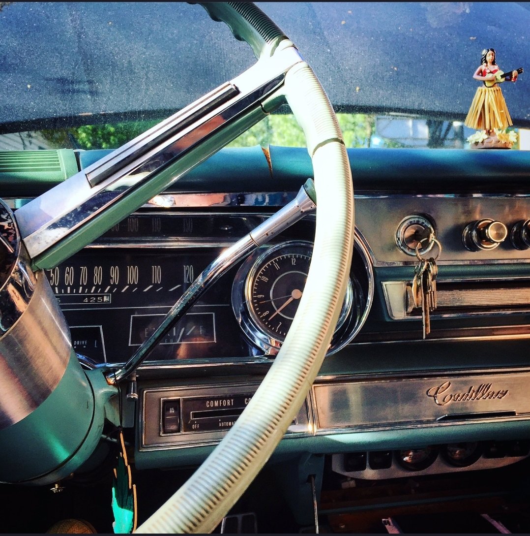 foxx_foxx3's tweet image. 