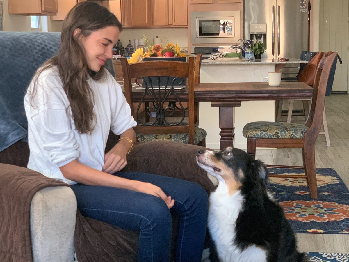 aubreystrobel's tweet image. I brought Bear home my senior year of high school without asking permission from my parents. They weren’t thrilled, but somehow I convinced them to keep her.
For the last 14 years, Bear became the heart of our family. She herded us, kept us close, and loved us unconditionally.…