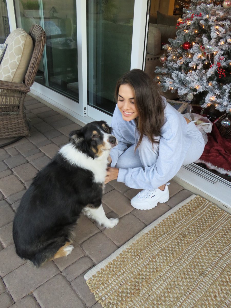 aubreystrobel's tweet image. I brought Bear home my senior year of high school without asking permission from my parents. They weren’t thrilled, but somehow I convinced them to keep her.
For the last 14 years, Bear became the heart of our family. She herded us, kept us close, and loved us unconditionally.…
