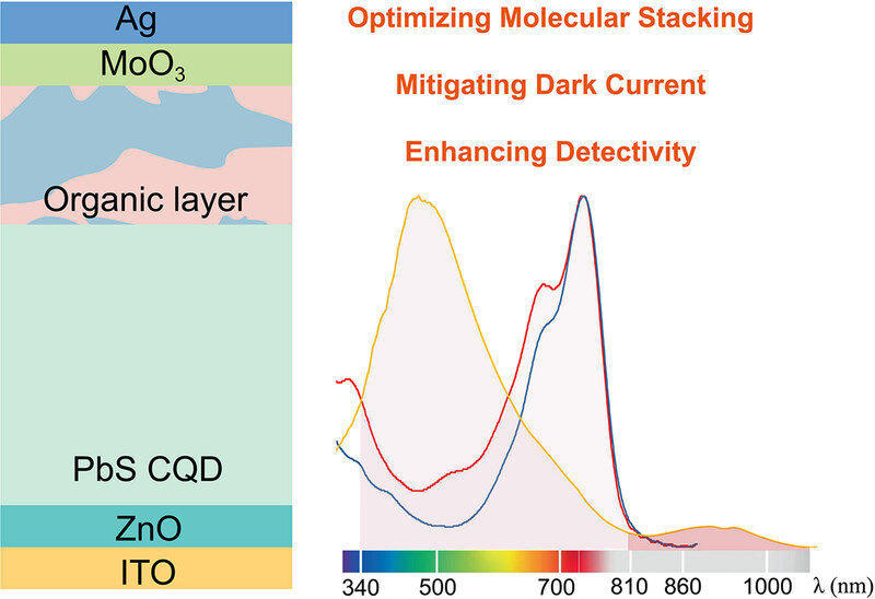 AggregateOA's tweet photo. Early View💡
"High-Performance Broad-Spectrum #Photodetector by Suppressing Stray Electrons by Adopting a Hybrid #CQD/Organic Architecture" by Long Ye, Hang Yin & Xiaotao Hao et al. @TianjinUniv1895 @ShandongU @Wiley_Chemistry #acceptor
Check👉https://t.co/OeIJnrb2xr https://t.co/YT55jzipjf