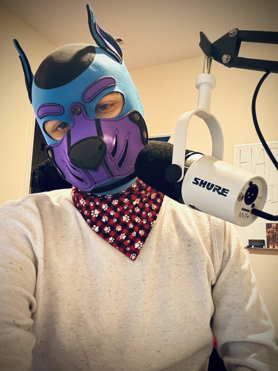 PupperinoTino's tweet photo. It’s been a minute, but we’re 🟣LIVE🟣 playing some TFT! Gold 1 14LP right now… road to Plat???? https://t.co/bGFyKnftQd https://t.co/LWCbf5QdnT