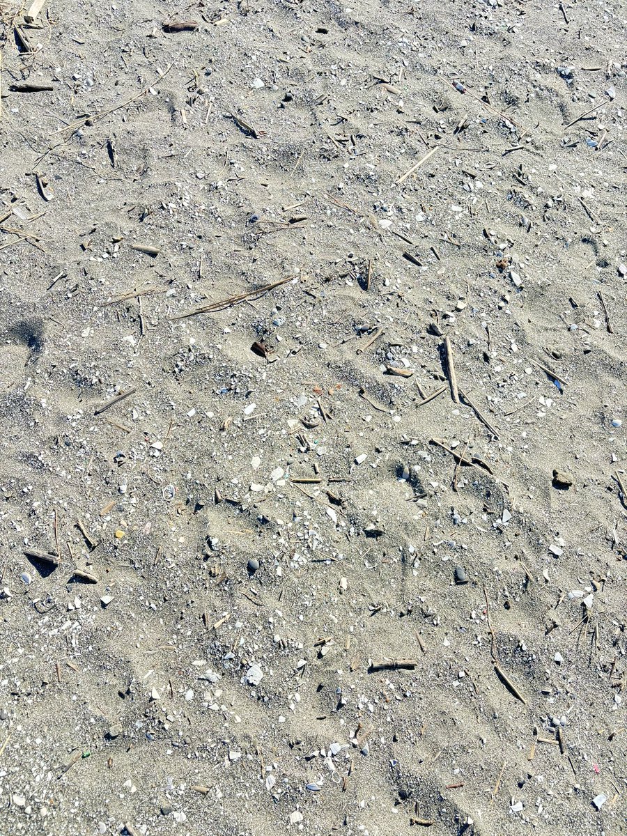 雨季呂 (@ukiro_sound) on Twitter photo 