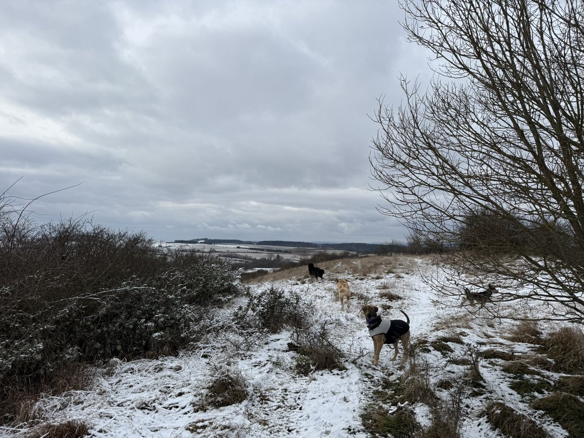 retroturistika's tweet image. Bývalý lom Ovčín u města Radnice  #vylet #radnice #turistika #cesko #fotocesty #travel #czechia #hiking #trip #winter