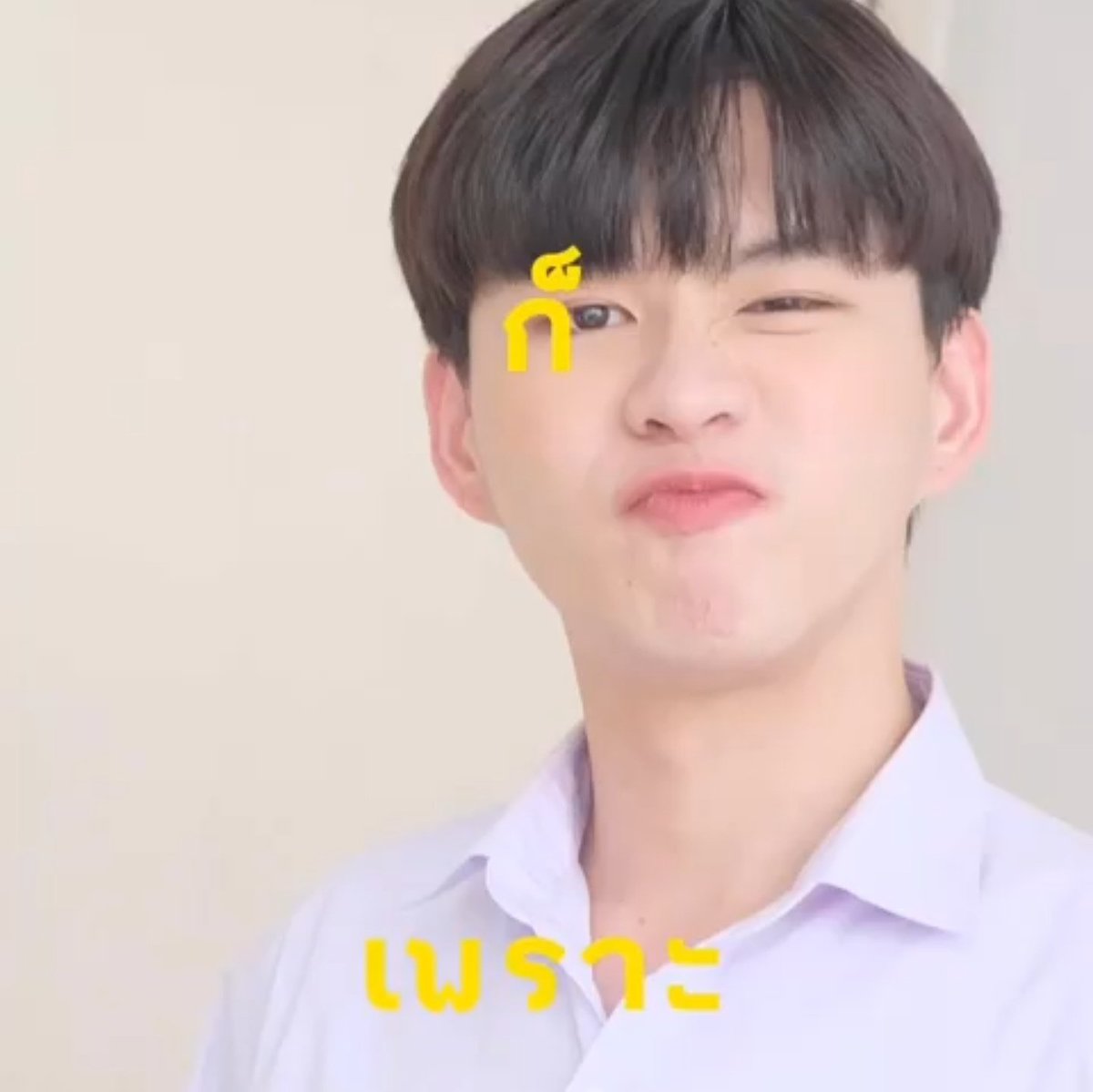 부재 ʕ•ﻌ•ʔ₊˚ tweet media