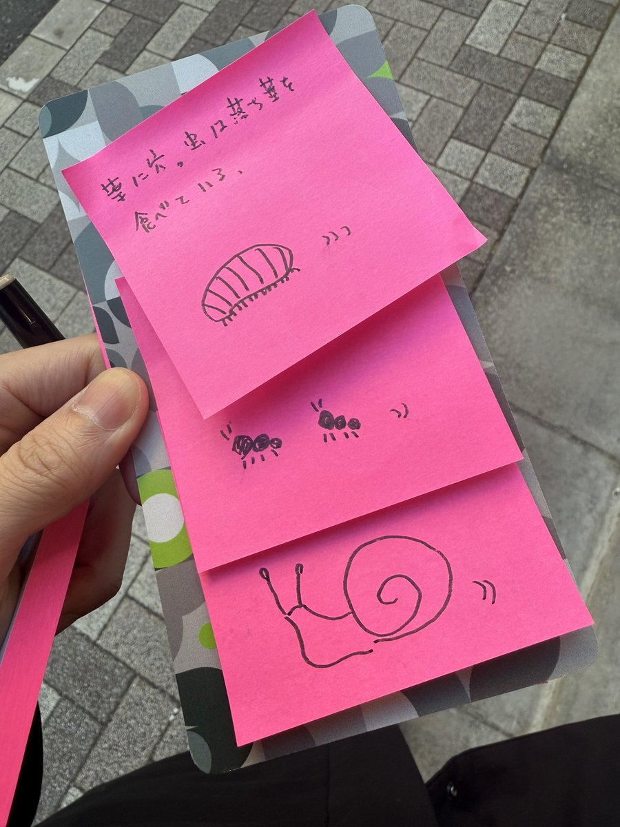 takerunakao's tweet photo. 街の中の森でフィールドワークしてます。観察と想像💭 #Comoris https://t.co/fchZ9HrMlz