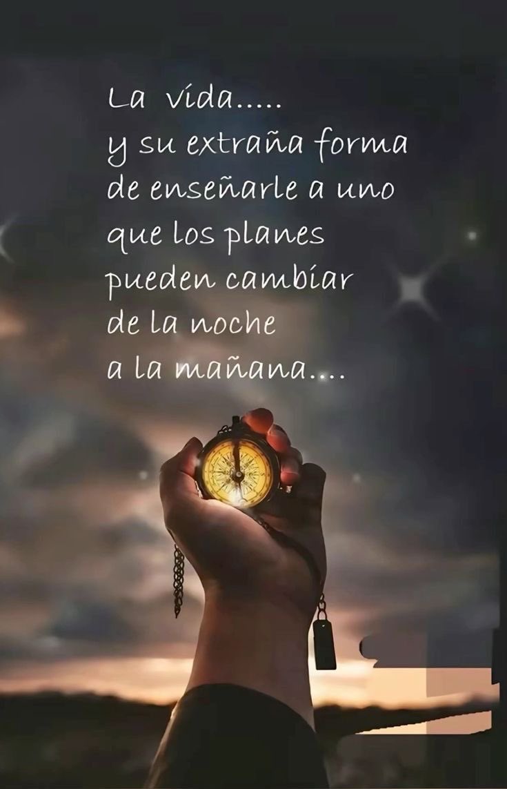 avanzandoacasa's tweet photo. https://t.co/91j0U7VYMd
