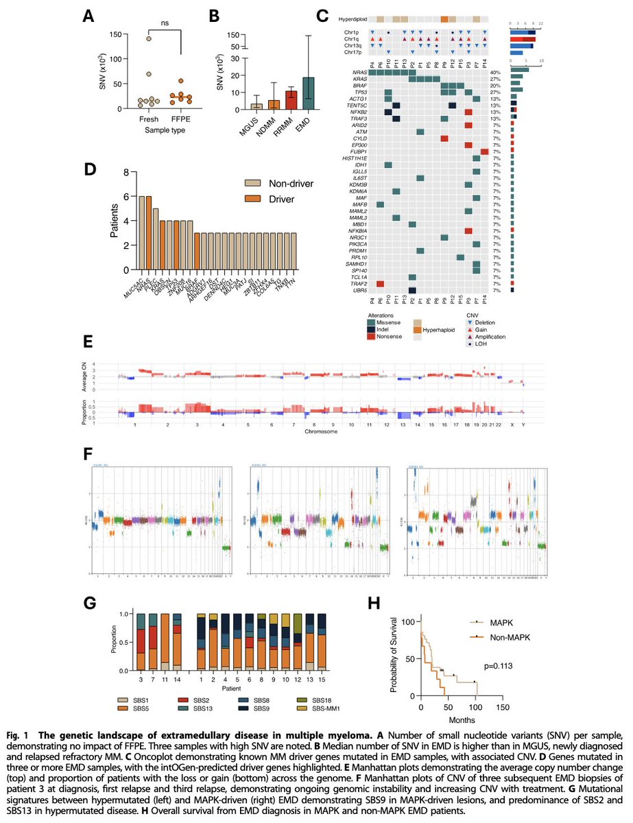 Robert Z. Orlowski tweet media
