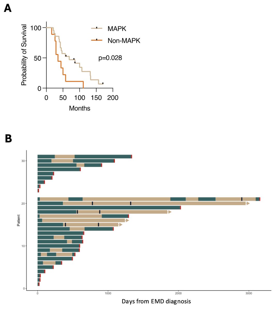 Robert Z. Orlowski (@myeloma_doc) on Twitter photo #Myeloma Paper of the Day: Whole genome sequencing of extramedullary disease in myeloma finds BRAF, NRAS, KRAS & MYC frequently implicated oncogenes, w/ frequent loss of tumor suppressor genes SP140 & TENT5C, suggesting central role of MAPK pathway: pubmed.ncbi.nlm.nih.gov/39799110/. #mmsm #Myeloma Paper of the Day: Whole genome sequencing of extramedullary disease in myeloma finds BRAF, NRAS, KRAS & MYC frequently implicated oncogenes, w/ frequent loss of tumor suppressor genes SP140 & TENT5C, suggesting central role of MAPK pathway: pubmed.ncbi.nlm.nih.gov/39799110/. #mmsm