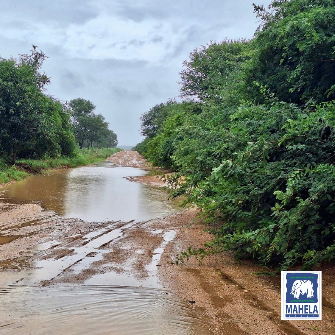 Mahela_Group's tweet photo. Over the past week much needed rain fell in Limpopo and with it brought new life and water for all. The rivers and streams are flowing and the dam levels increasing. We are truly thankful. #mahelaboerdery #MahelaGroup #farmingwithnature #rainislife https://t.co/QMliZuI0Wi