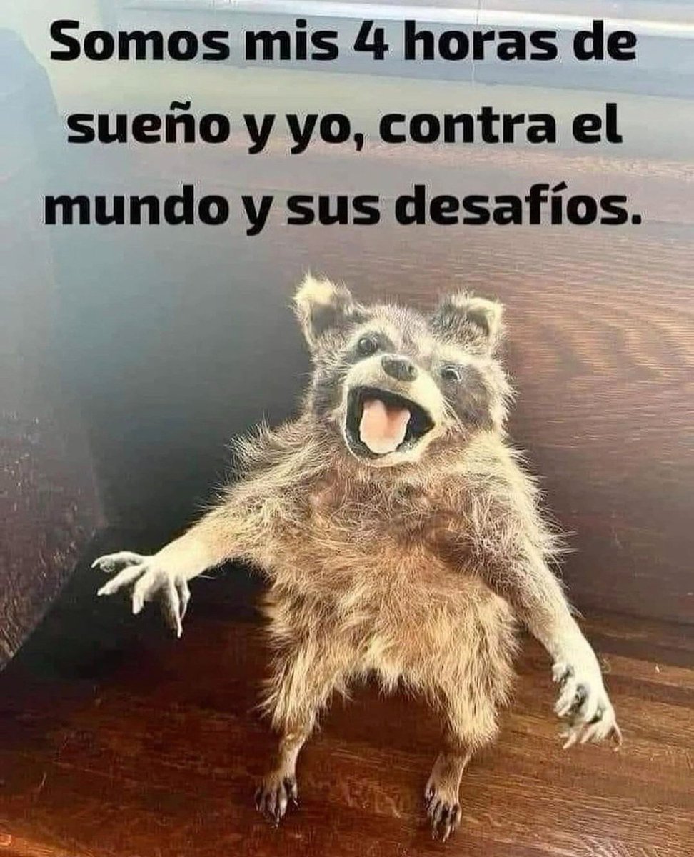 En Júpiter (@en_jupiter_) on Twitter photo 