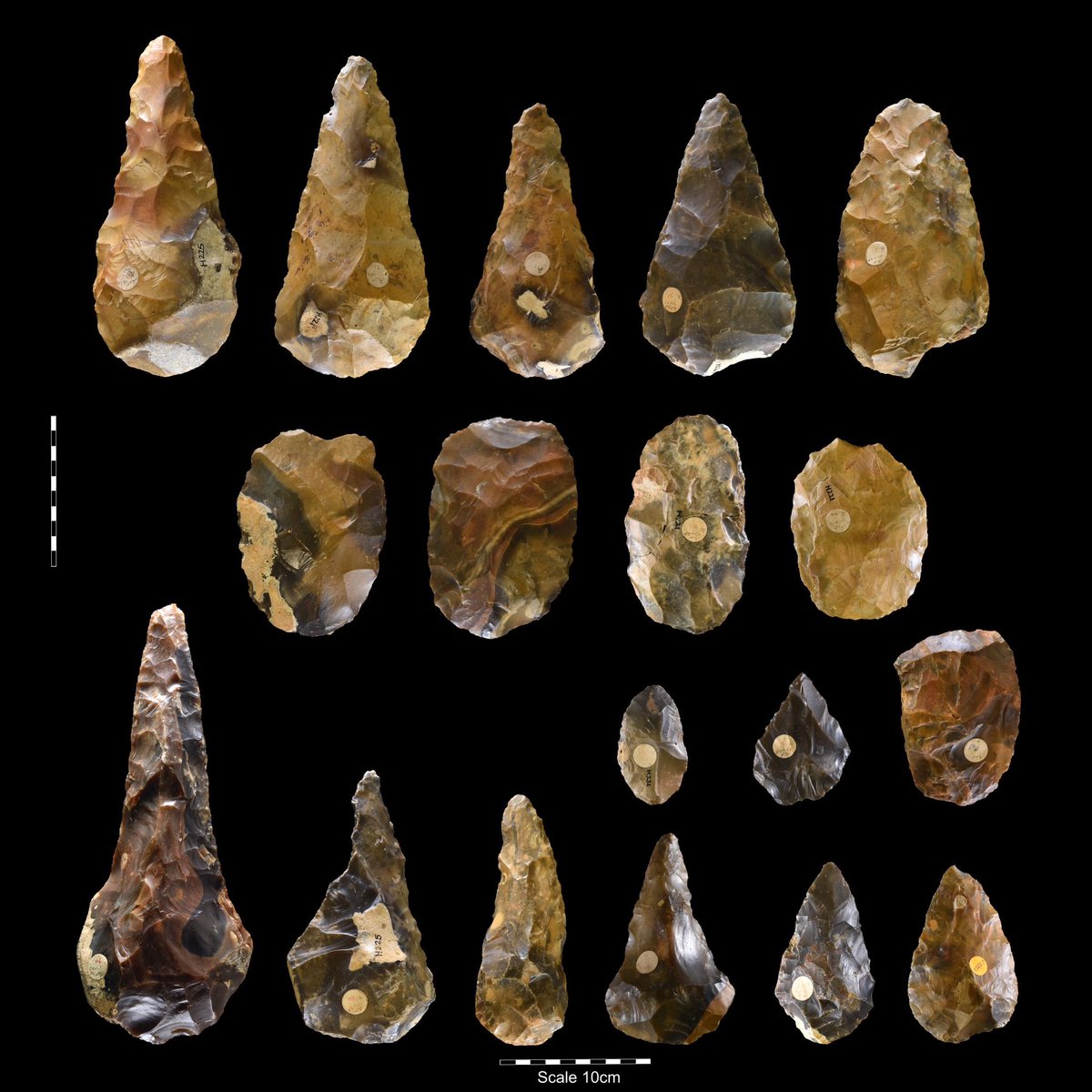 LithicSociety's tweet photo. 1/2 Today we are highlighting one of our recent journal articles.
Researcher Pete Knowles completed a reanalysis of an assemblage from the collection of Dr T Armstrong Bowes.
Photo credit: P.G Knowles
#Handaxe #Lithics #Archaeology #Palaeolithic https://t.co/4XAjbrRkPM