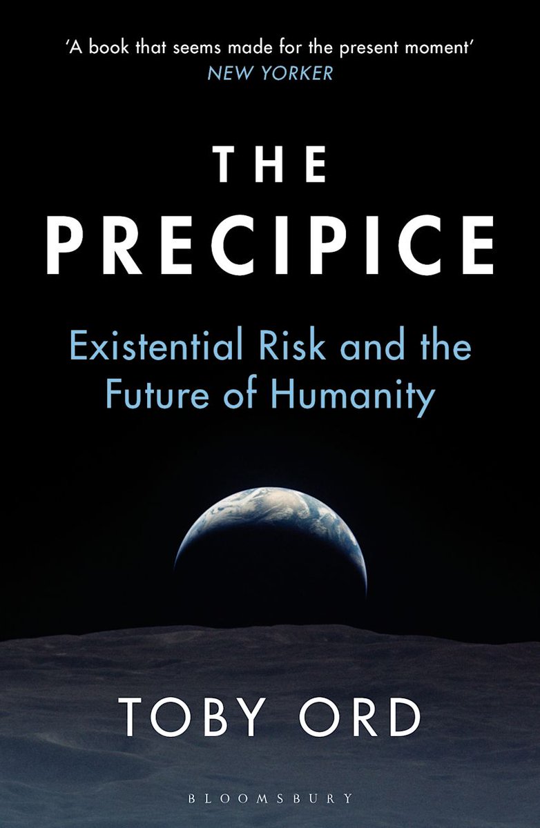 AlesPitin's tweet photo. 59/∞

‼️ The Precipice: Existential Risk and the Future of Humanity by Toby Ord ‼️

Rating: (click on the link below to see how many start it got)

📚 Length: 480 pages
🔊Audiobook: 8 hours 45 minutes

Read the review at:
 
https://t.co/GVLwfntQlu https://t.co/NZwGyj1ilx