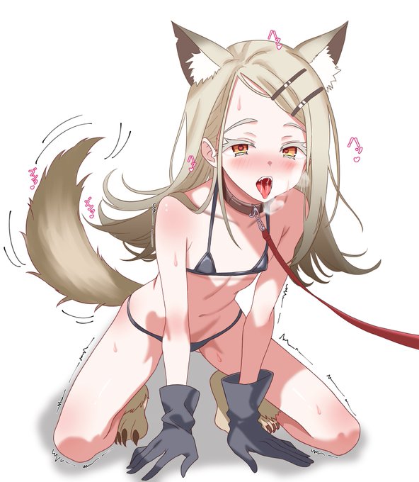 わんこ篠澤まとめ 