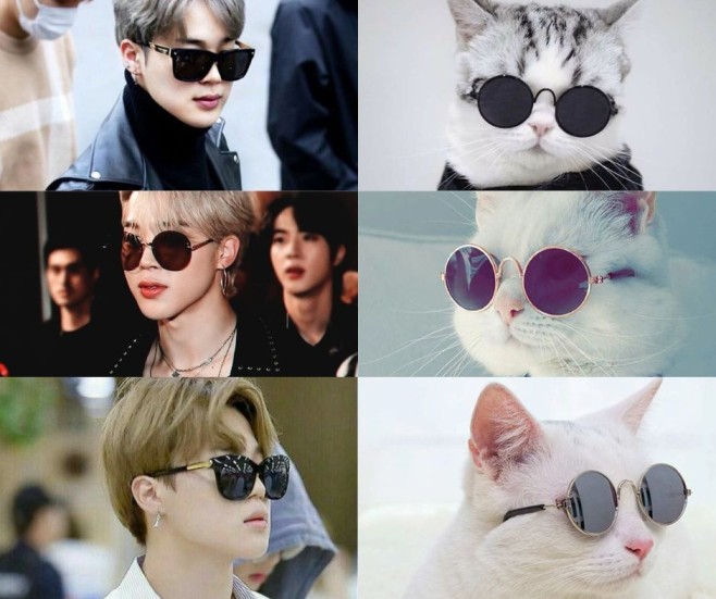 jimforever7's tweet photo. kittymin bənzərlikləri 🔥😎
#JIMIN #parkjimin #jimine https://t.co/dcdQSKJz8n