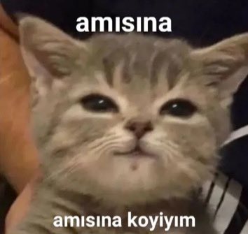 Beni sıcak yatağımdan ayıran her seyin