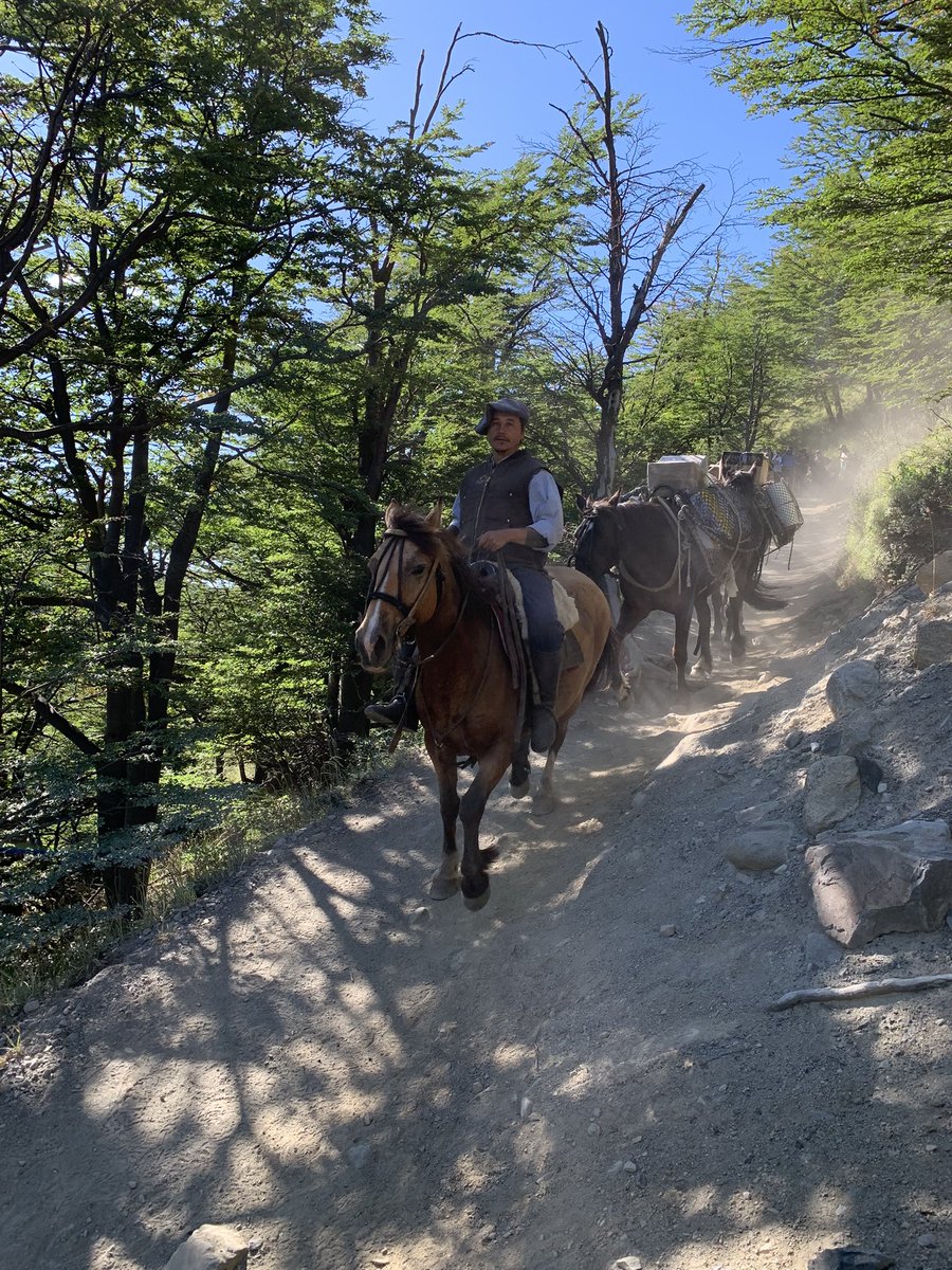 Torres del Paine #Chile #Patagonia first day of hiking the ‘W Trek’ through the national park, part of the Magallanes Region and Chilean Antarctica, Torre d’Agostini, Torre Central and Torre Monzino, anyone planning or thinking of this, happy to share, quite incredible.
