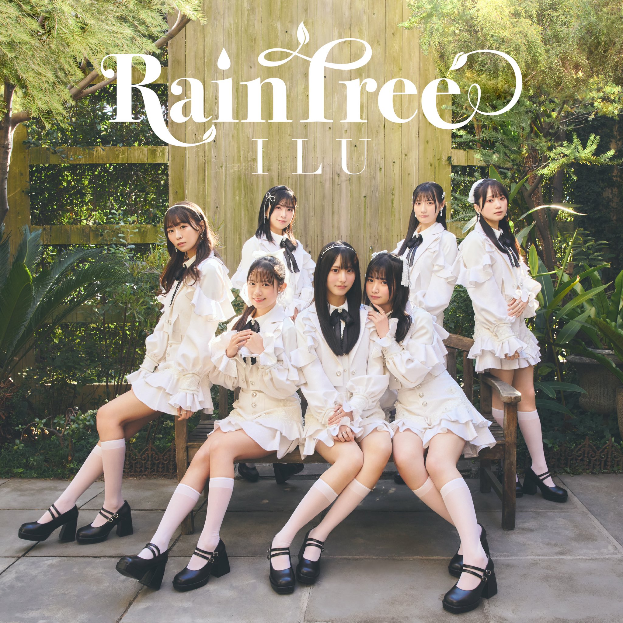 Rain Tree on X: 