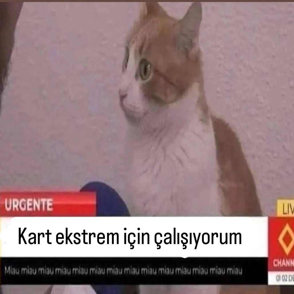 ANLIK (@anlikmod) on Twitter photo 