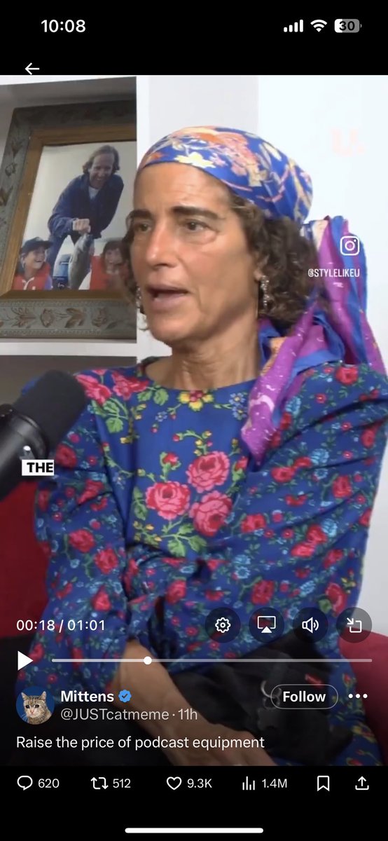 BudFox692's tweet photo. @JUSTcatmeme Is that Obama in a wig https://t.co/lhEmkNc5Ml