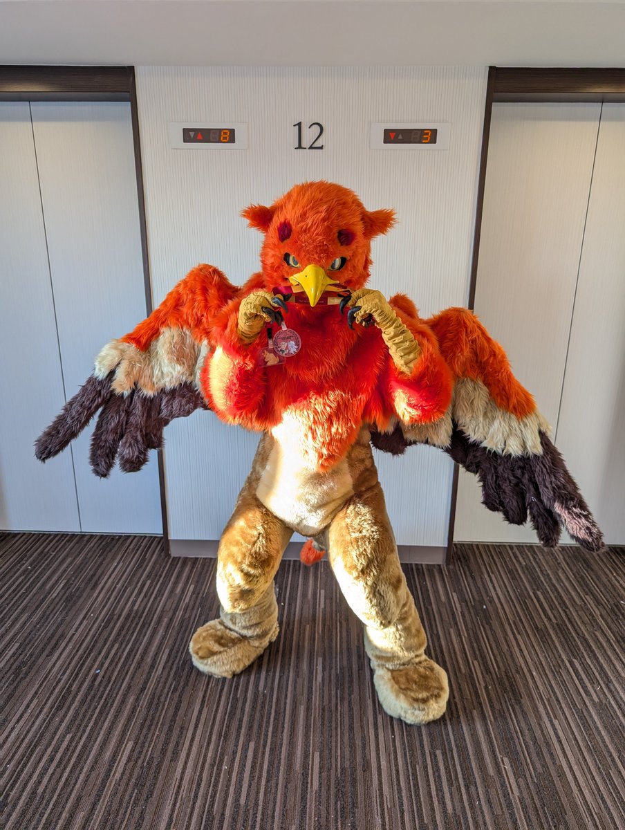 WingsofGriffin's tweet image. 改めましてJMoFお疲れ様でした！
今回の1番の目的である着ぐるみクリエイターコンテストですが、めでたく挑戦賞を頂きました🏅
またうちのタカとグリフィンのメインキャラ3匹が初めて揃ったJMoFでもありました！

色々盛りだくさんの3日間、遊んでくれた皆様ありがとうございました！！

良いお年を！