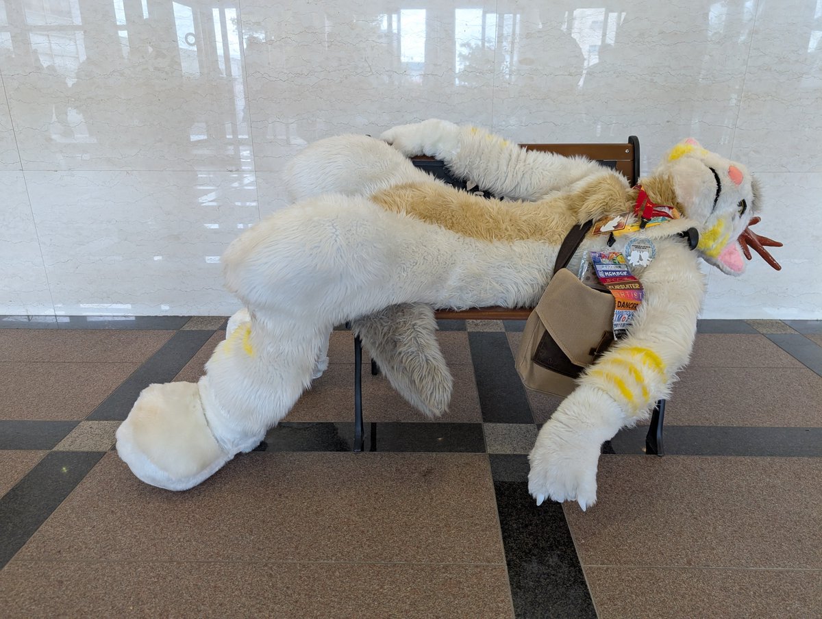 WingsofGriffin's tweet image. 改めましてJMoFお疲れ様でした！
今回の1番の目的である着ぐるみクリエイターコンテストですが、めでたく挑戦賞を頂きました🏅
またうちのタカとグリフィンのメインキャラ3匹が初めて揃ったJMoFでもありました！

色々盛りだくさんの3日間、遊んでくれた皆様ありがとうございました！！

良いお年を！