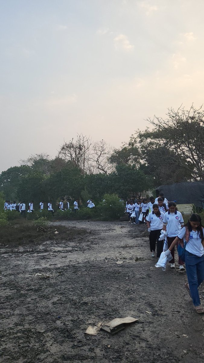 dharmeshbarai's tweet photo. Week 230 #MangrovesCleanup Drive 🌿
As citizens, we can contribute to environmental conservation—it’s in our hands!
We hope authorities take note and address local civic issues to prevent trash from ending up in the ocean.
#CleanUpDrive #BeatPlasticPollution #SaveMangroves https://t.co/NMDAsVTC5n