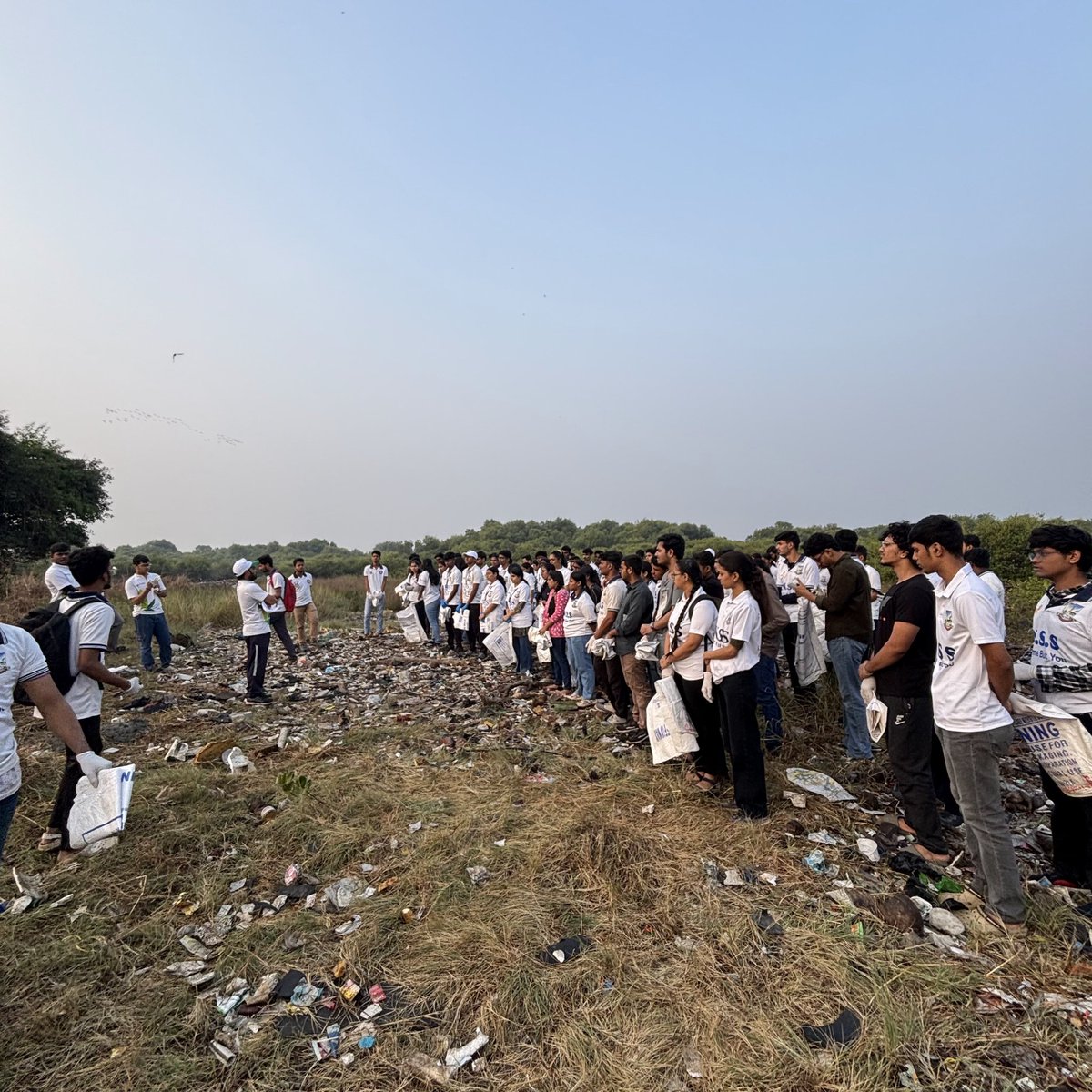 dharmeshbarai's tweet photo. Week 230 #MangrovesCleanup Drive 🌿
As citizens, we can contribute to environmental conservation—it’s in our hands!
We hope authorities take note and address local civic issues to prevent trash from ending up in the ocean.
#CleanUpDrive #BeatPlasticPollution #SaveMangroves https://t.co/NMDAsVTC5n