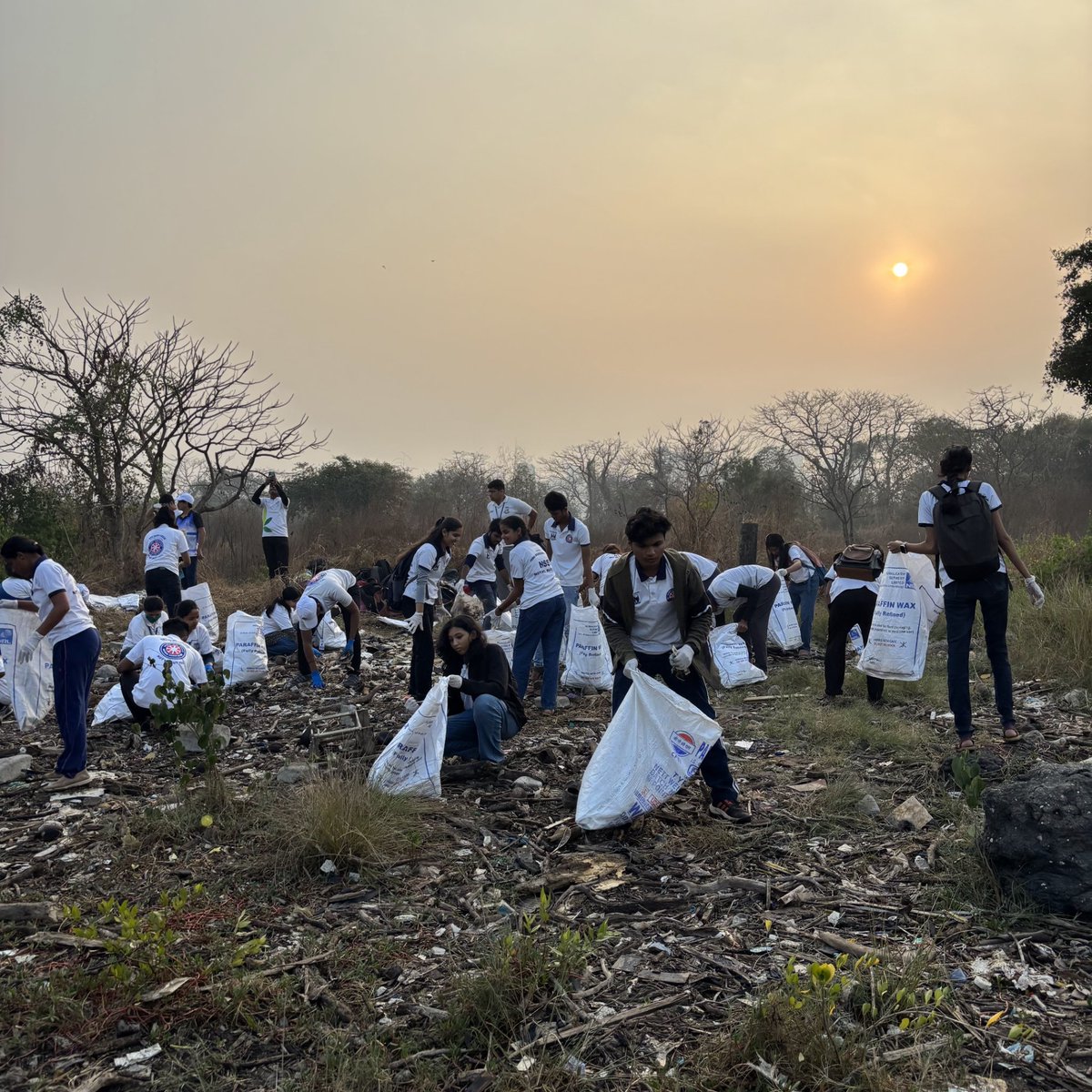 dharmeshbarai's tweet photo. Week 230 #MangrovesCleanup Drive 🌿
As citizens, we can contribute to environmental conservation—it’s in our hands!
We hope authorities take note and address local civic issues to prevent trash from ending up in the ocean.
#CleanUpDrive #BeatPlasticPollution #SaveMangroves https://t.co/NMDAsVTC5n