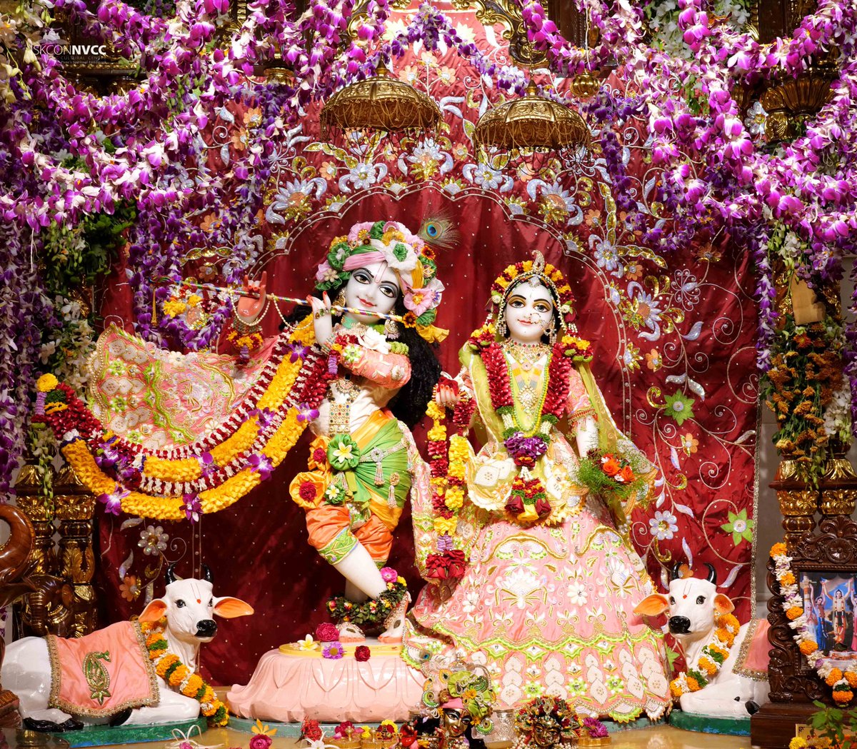 ISKCONPune's tweet photo. 🙏🏽Today's Darshan 📿 🗓13-01-2025🙏
🌷Sri Sri Radhavrindavanchandra🌷
🚩@ISKCONNVCCPune🚩
.
.
#ISKCONNVCC #ISKCONPune #ISKCONNVCCPune #ISKCON
#13thjanuary #13thjanuary2025 #Monday
#Harinaamsankirtan #Radheshyamdas #Radheradhe
#Sankirtan #Kirtan #Vrindavan #Mayapur #Prabhupada https://t.co/zM6e3w0vGJ