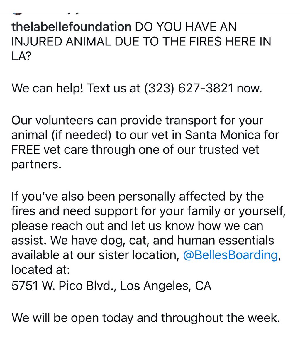 KimberleyKates's tweet photo. Any pets affected by the wildfires, The LaBelle Foundation of Los Angeles has arranged free veterinary care for any injured animals. There are 8 Vets on hand #LAWildfires #injuredpets #AnimalLovers #animalhelp https://t.co/oCKK545kHS