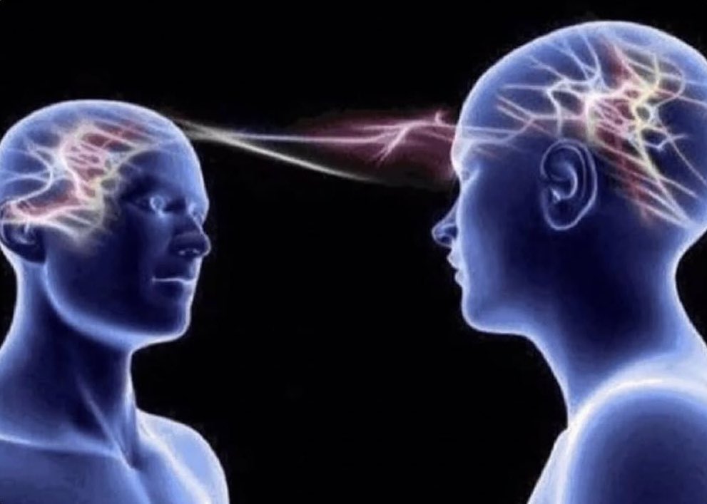 Traphouse tweet media