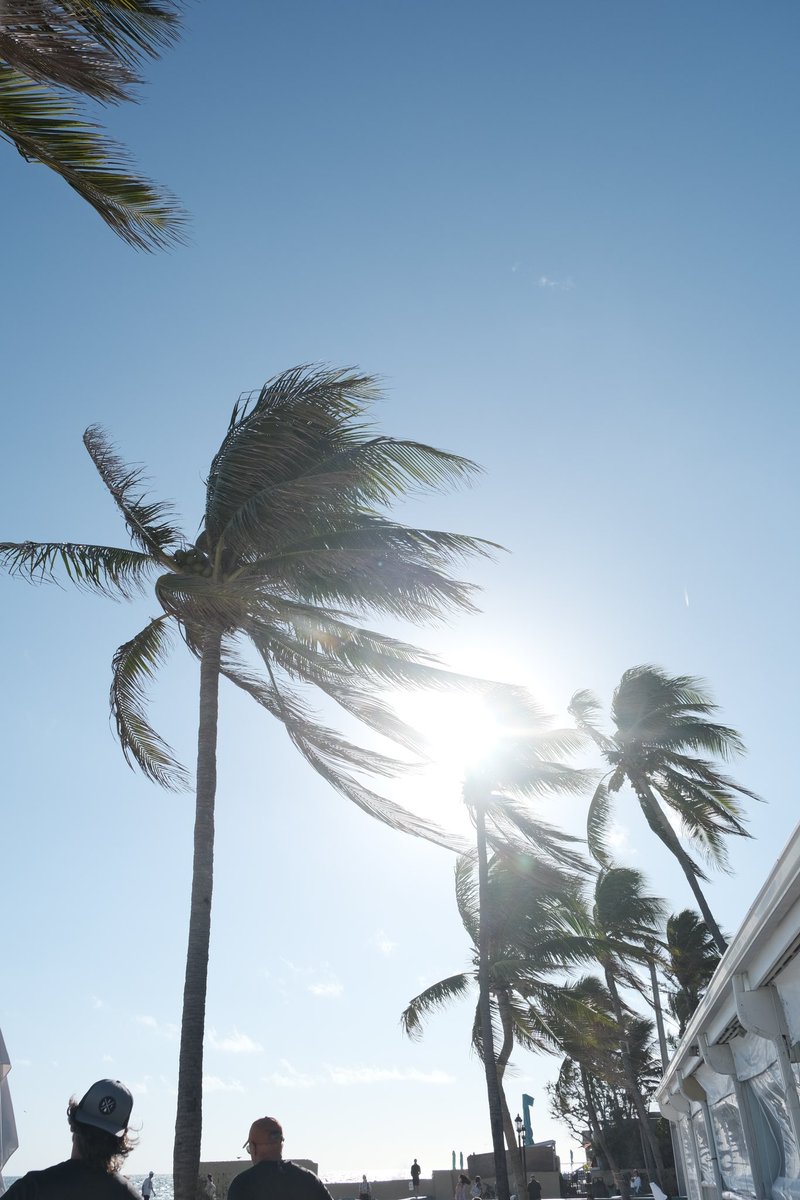 My digital postcard from the Keys🌴

#keywest x <a href="/FujifilmX_US/">FUJIFILM X/GFX USA</a>