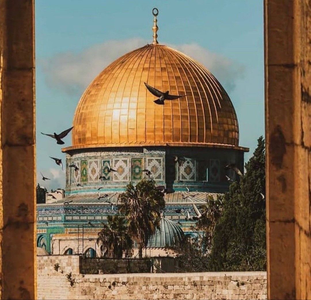 And ˹on Judgment Day˺ God will say, “O Jesus, son of Mary! Remember My favour upon you and your mother: how I supported you with the holy spirit1 so you spoke to people in ˹your˺ infancy and adulthood. How I taught you writing, wisdom, the Torah, and the Gospel.” Quran 5:110💜🤲