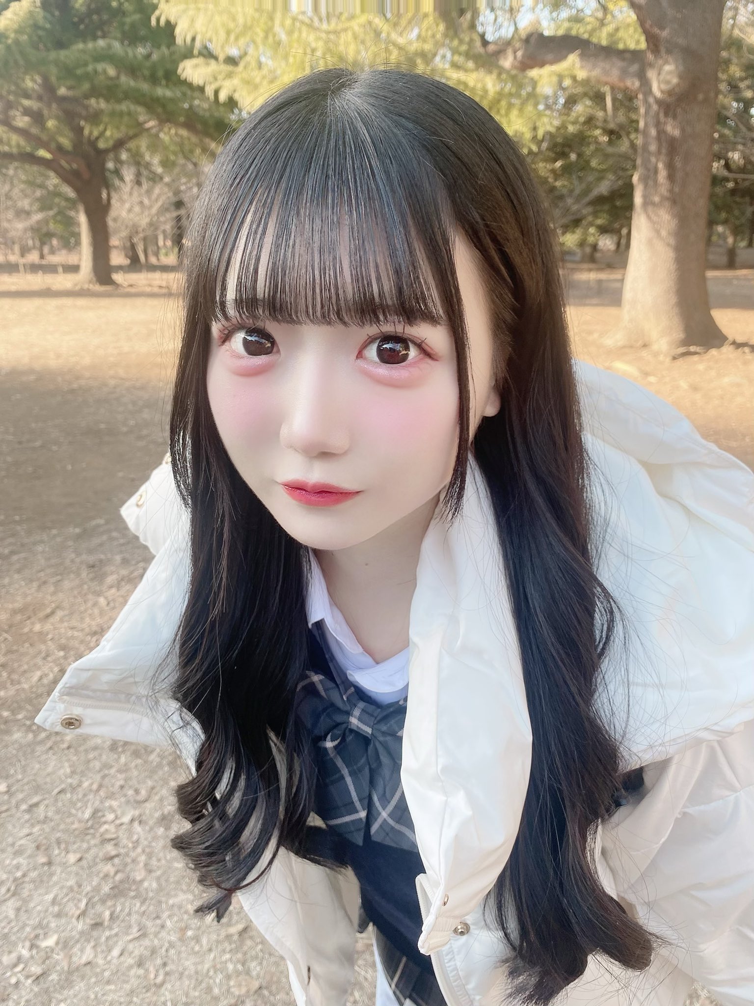 ビデボのザーメン テッシュ 