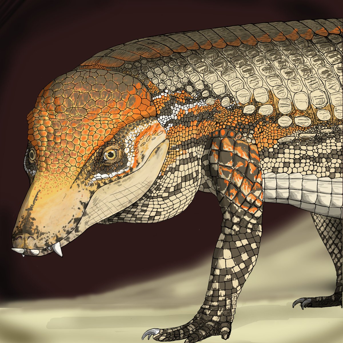 Attichen (@attichen222416) on Twitter photo And here it is! My first ever digital painting of #Armadillosuchus! I remember working so hard on it and it's where I first met <a href="/TetZoo/">Darren Naish</a> ! He helped me A LOT with anatomy and posture.
This is where I learned archosaurs only have claws on the first three toes!
#Paleoart And here it is! My first ever digital painting of #Armadillosuchus! I remember working so hard on it and it's where I first met <a href="/TetZoo/">Darren Naish</a> ! He helped me A LOT with anatomy and posture.
This is where I learned archosaurs only have claws on the first three toes!
#Paleoart